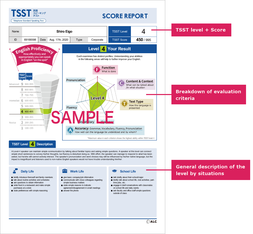 TSST level + Score.Breakdown of evaluation criteria. General description of the level by situations