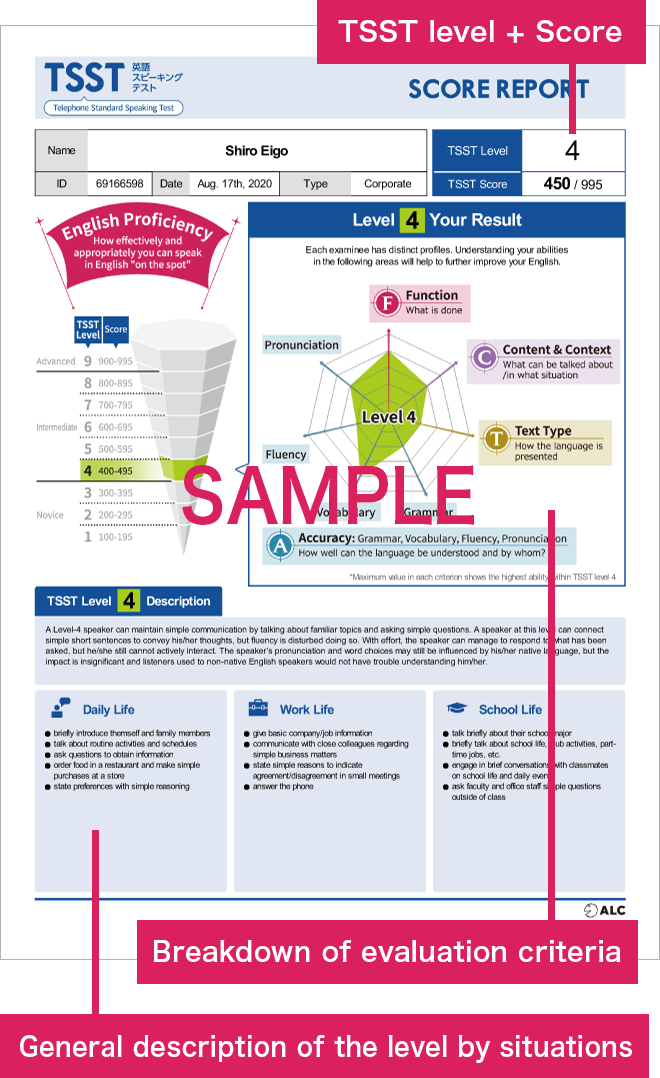 TSST level + Score.Breakdown of evaluation criteria. General description of the level by situations